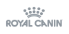 image-157.png